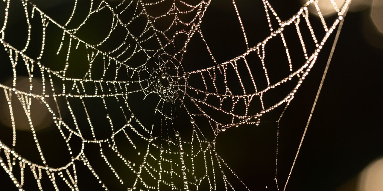 remove-the-root-cause-of-fear-img