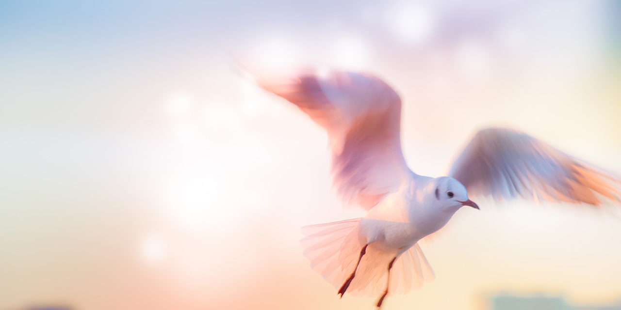 the-antidote-to-fear-img