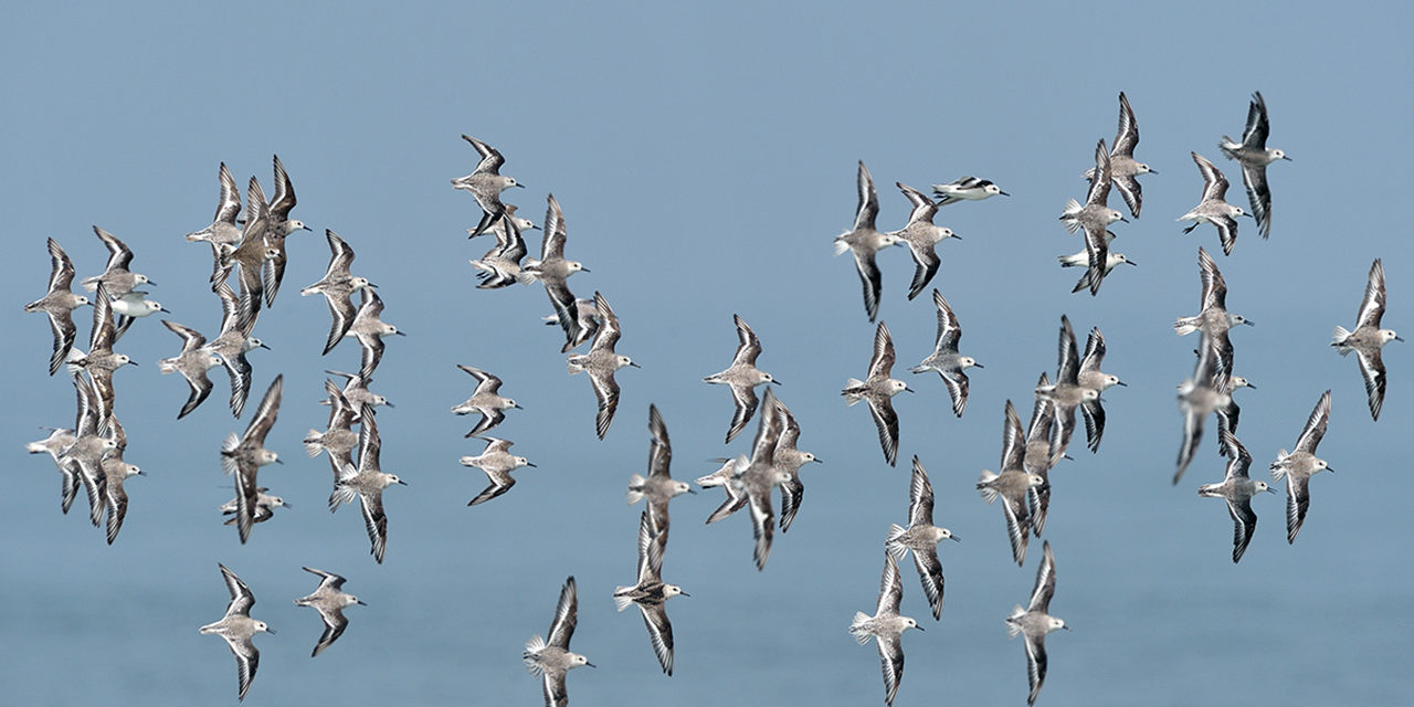 what-will-achieve-by-practicing-heartfulness-img