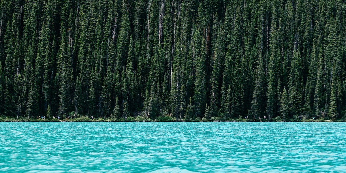 hfn-blog-heartfulness-is-lovefulness