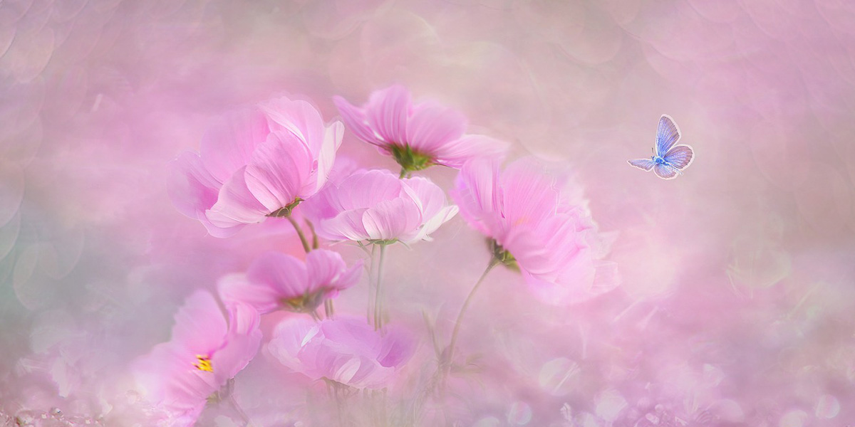 hfn-blog-meditation-life-health-professional