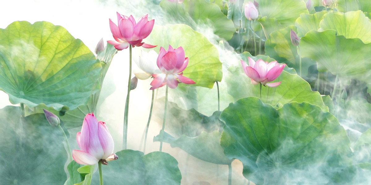 hfn-blog-the-three-compassion