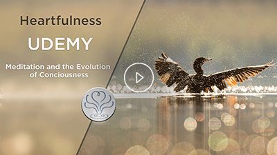 udemy offering